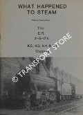 Book cover of What Happened to Steam by HANDS, Peter